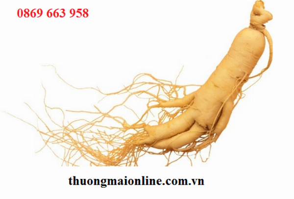 Nhân sâm là loại thuá»c bá» quý, nhưng dùng theo cách nà y dá»
biến thà nh