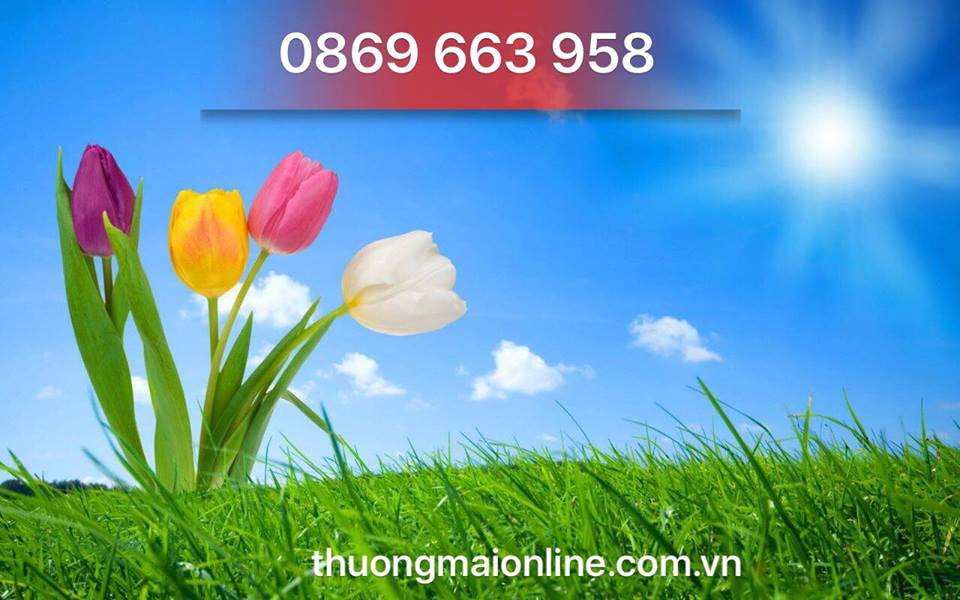 6 mẹo giúp bạn dậy sớm mà vẫn tỉnh táo