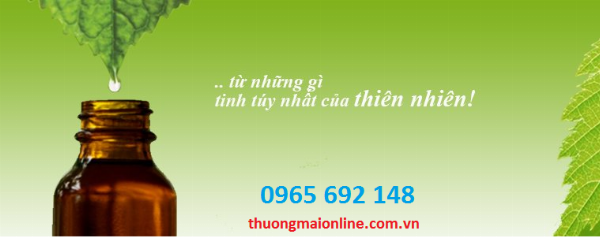 NHÓM TINH DẦU CÓ TÁC DỤNG CHỮA BỆNH